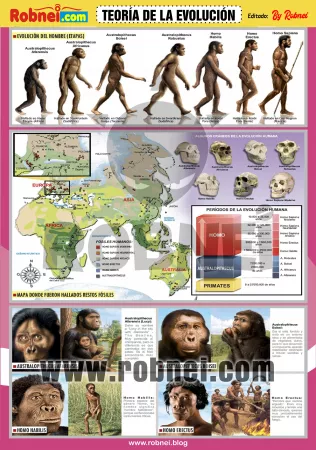 Teoria De La Evolucion